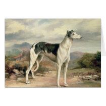 A Greyhound in a hilly landscape Greeting Card