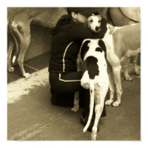 a greyhound with three legs posters by MarleneSG a greyhound with three legs posters