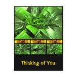 A Grid of Green Postcard