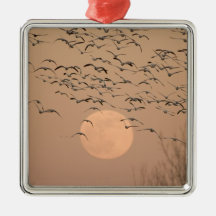 A group of migratory snow geese, Grus Christmas Tree Ornaments