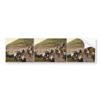 A group of peasants, Bosnia, Austro-Hungary classi Bumper Stickers