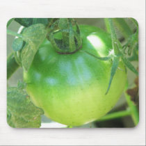 A Growing Tomatoe mousepads