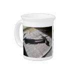 A hammer displayed in sunlight with its shadow. beverage pitchers