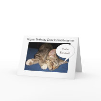 A Happy Birthday Granddaughter Card Tabby Cat