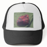 a hat with a hat on it
