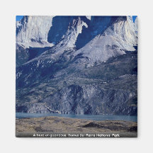 A herd of guanacos, Torres del Paine National Park Refrigerator Magnet