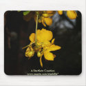 A Hiding Place mousepads