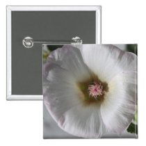 A Hollyhock buttons