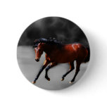 A horse called Riboking Buttons