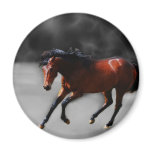 A horse called Riboking Fridge Magnet
