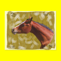 A Horse, Of Course!...Postcard.
