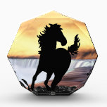 A horse silhouette and waterfall awards