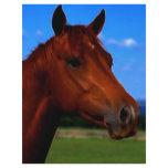A horse standing proud custom flyer