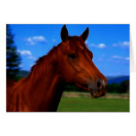 A horse standing proud greeting card