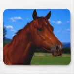 A horse standing proud mousepads