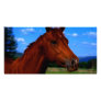 A horse standing proud photo card template