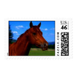 A horse standing proud postage
