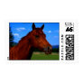 A horse standing proud postage