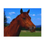 A horse standing proud postcards