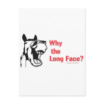 A horse walks into a bar... postcards