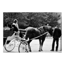 A Horse Whisperer posters