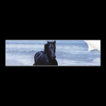 A horse wild and free bumper stickers