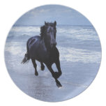 A horse wild and free dinner plate