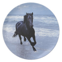 A horse wild and free dinner plate