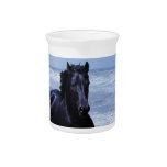 A horse wild and free drink pitchers