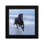 A horse wild and free jewelry box