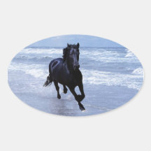A horse wild and free oval sticker