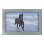 A horse wild and free rectangular belt buckle