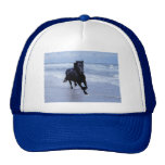 A horse wild and free trucker hats