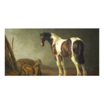 A Horse with a Saddle Beside It by Abraham Calraet Photo Greeting Card