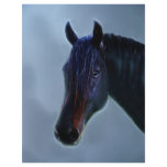 A horses curiosity personalized flyer