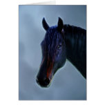 A horses curiosity greeting cards