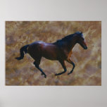 A horses gait print