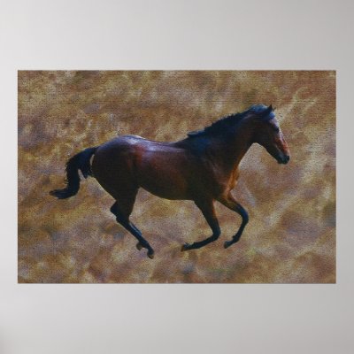 A horses gait print by laureenr