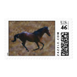 A horses gait stamp