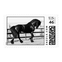 A horses humility stamps