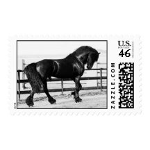 A horses humility stamps