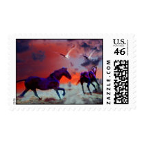 A horses time to go postage