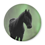A horses tranquility refrigerator magnet