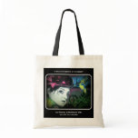 'a Hummingbird at Twilight' Canvas Bag