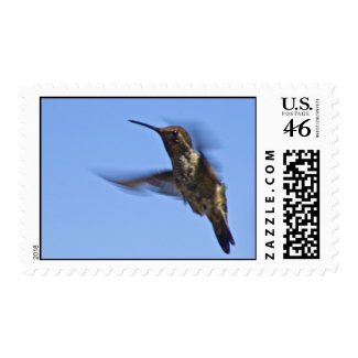 A Hummingbird in Flight Postage Stamp