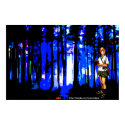 A Insomniac Sunrise Print by Insomniacs A Insomniac Sunrise Print