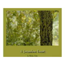 A Jerusalem forest, by Shahar Stein posters