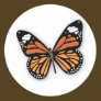 A Jeweled Monarch Butterfly