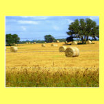 A Job Well Done Postcard postcards