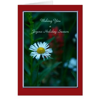A Joyous Holiday Season , White Wildflower